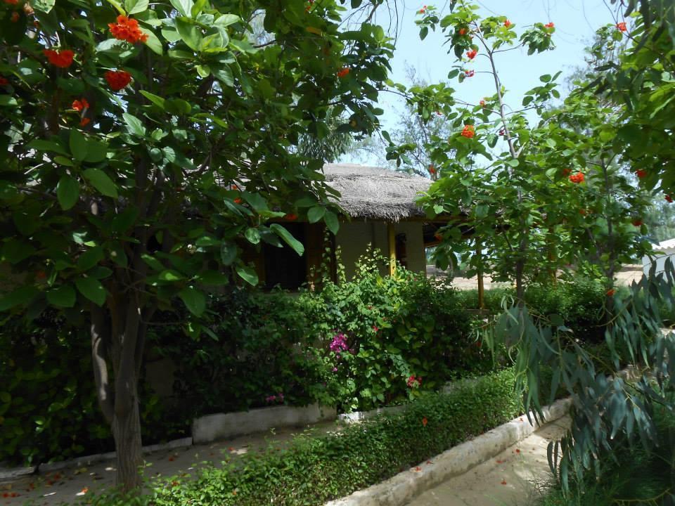 סן-לואי Eco-Lodge Hotel Oasis Fishing מראה חיצוני תמונה